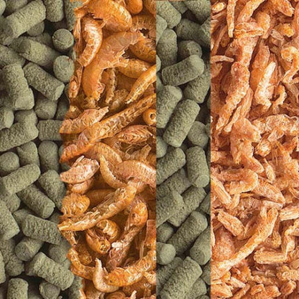 Tetra Reptomin Menu 250ml 6x6x11,7cm