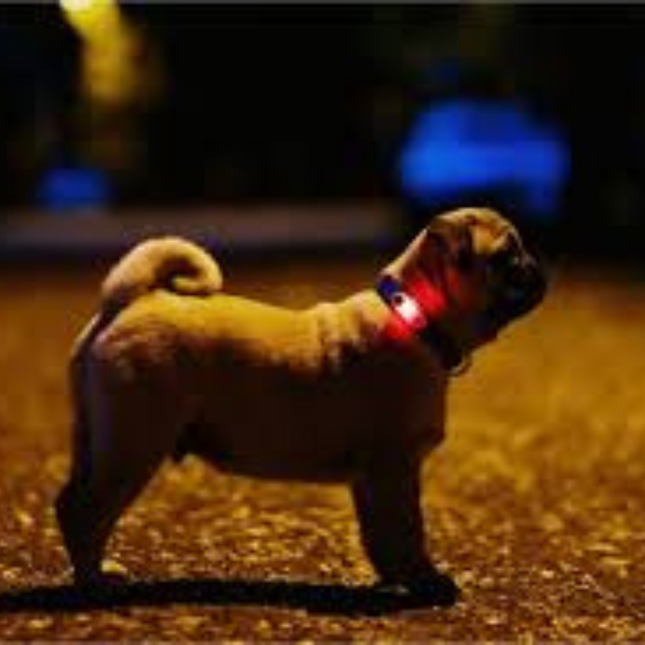 Tickless Tick Lover Mini Dog Black