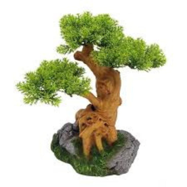 Deco Bonsai XXL
