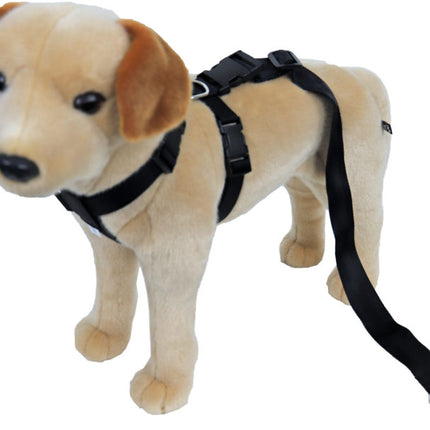 AnimalstoreXL Veiligheidstuig Nylon Zwart 25Mm/H50-B70