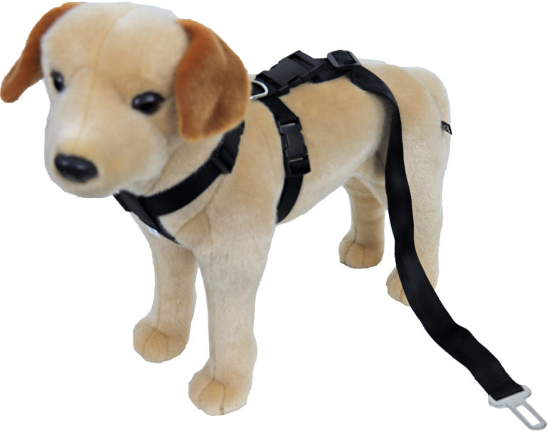 AnimalstoreXL Veiligheidstuig Nylon Zwart 25Mm/H50-B70