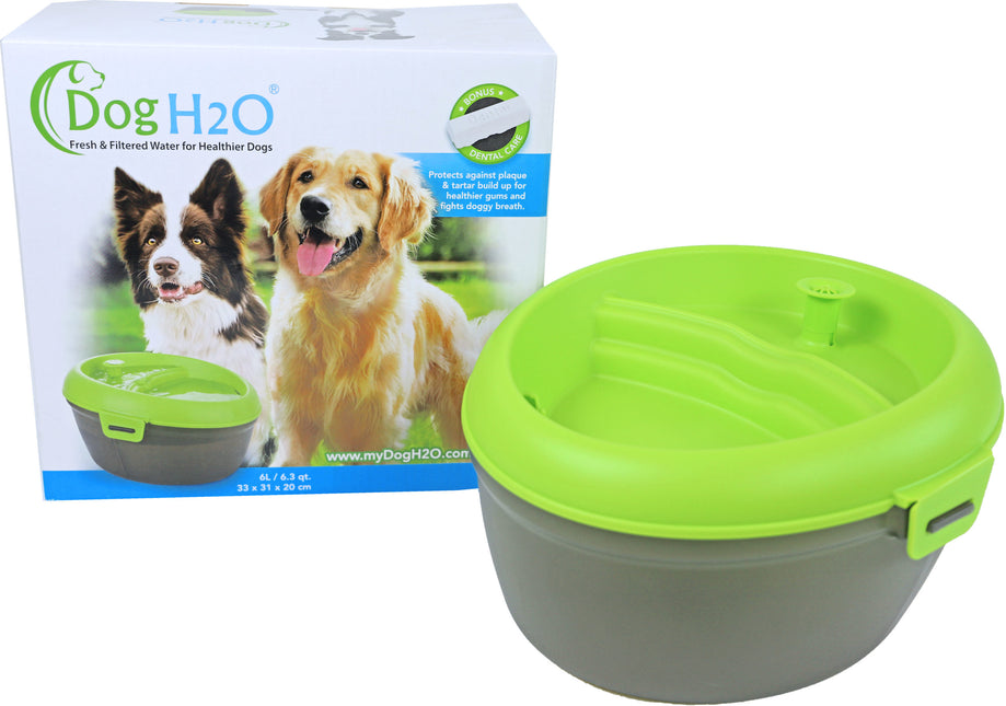 AnimalstoreXL Waterbak Hond 6L