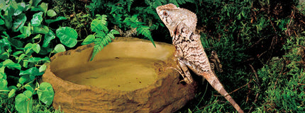 AnimalstoreXL Waterschaal Middelgroot