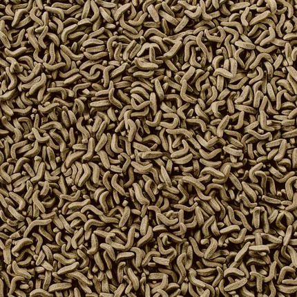 AnimalstoreXL Waterschildpad Voer met Snack