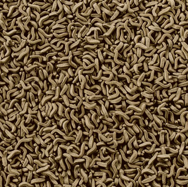 AnimalstoreXL Waterschildpad Voer met Snack