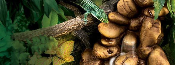 AnimalstoreXL Waterval Kiezel Medium Incl. Pomp