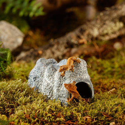 AnimalstoreXL Wet Rock - Keramische Grot Klein