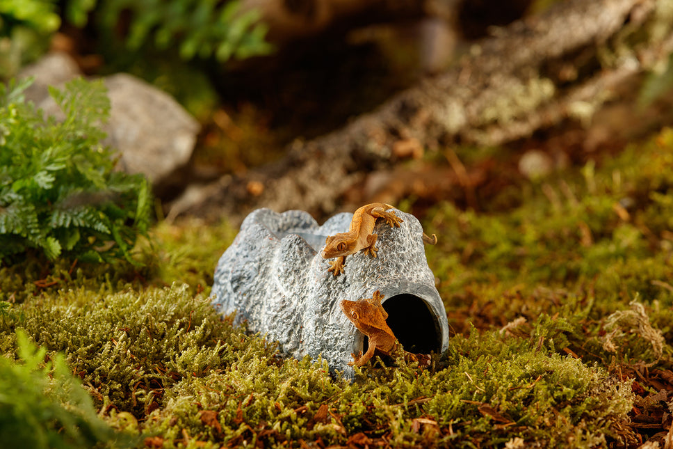 AnimalstoreXL Wet Rock - Keramische Grot Groot