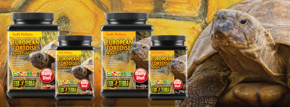 AnimalstoreXL Zachte Pellets Volwassen Europese Landschildpad 540g