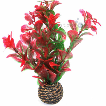 AnimalstoreXL Easy plants voorgrond 13cm NR.7