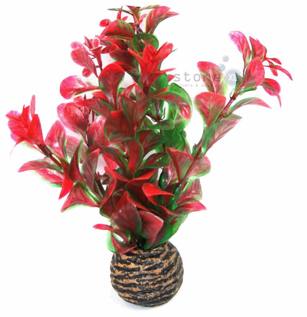 AnimalstoreXL Easy plants voorgrond 13cm NR.7