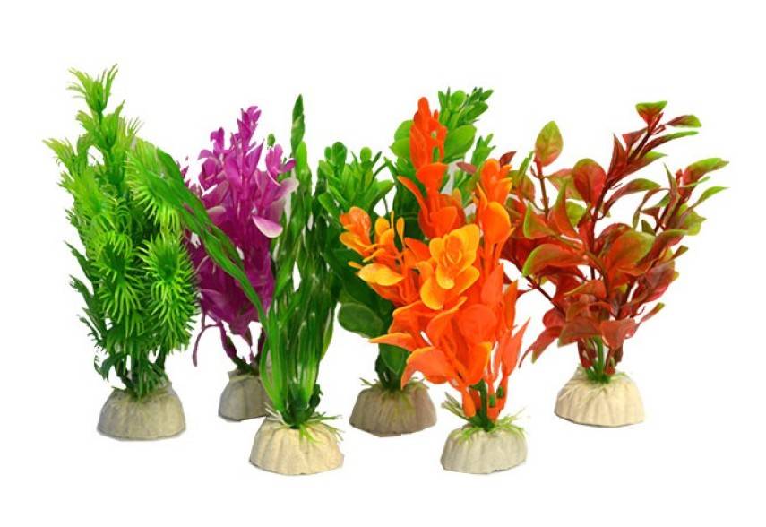 AnimalstoreXL Aqua plants small