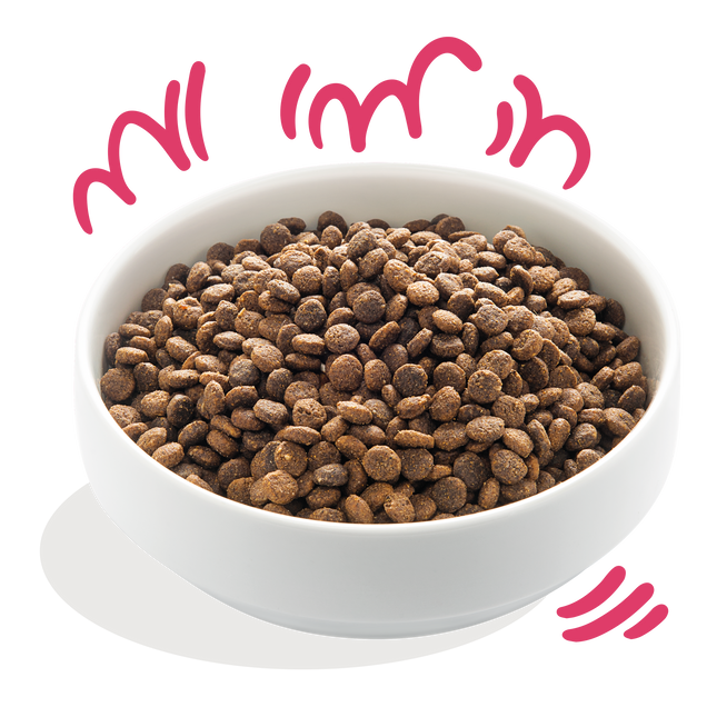 AnimalstoreXL Edgard & Cooper Bio Brok Volwassen Hond Rund & Kip Glutenvrij