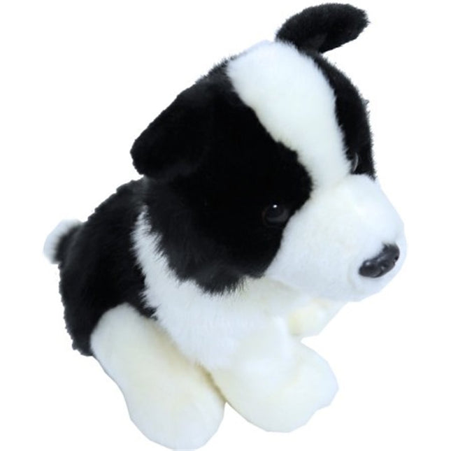 AnimalstoreXL Boony Collie Pluche 20cm