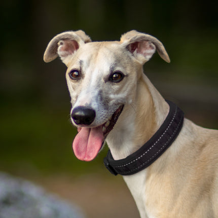 AnimalstoreXL Hurtta Collar Casual Raven 45-55cm