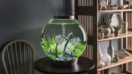 AnimalstoreXL Classic 60 MCR Zwart