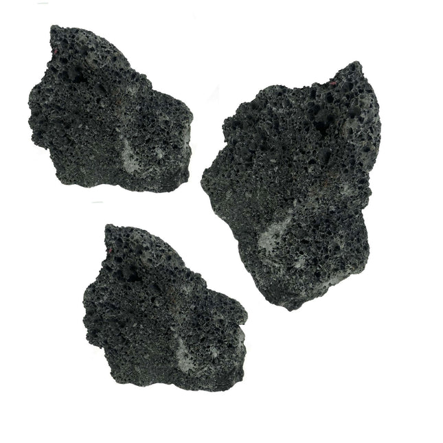 AnimalstoreXL Premium Lava Black S x3