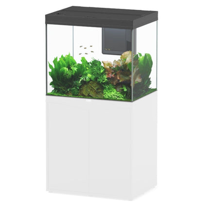 AnimalstoreXL Aquarium Volga 200 Zwart-001