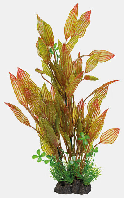 AnimalstoreXL Art Plant 40cm Henkelianus