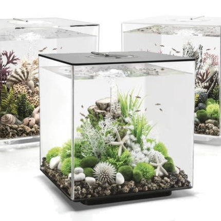 AnimalstoreXL Keramisch filtergesteente