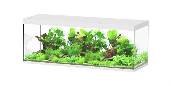 AnimalstoreXL Sublime 200x70 aquarium
