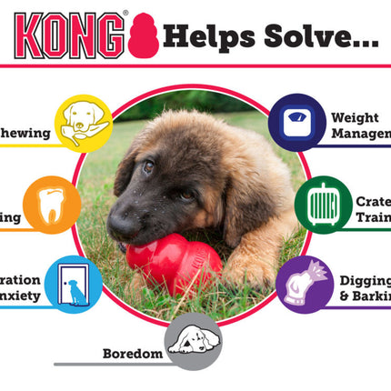 AnimalstoreXL Kong Puppy Large