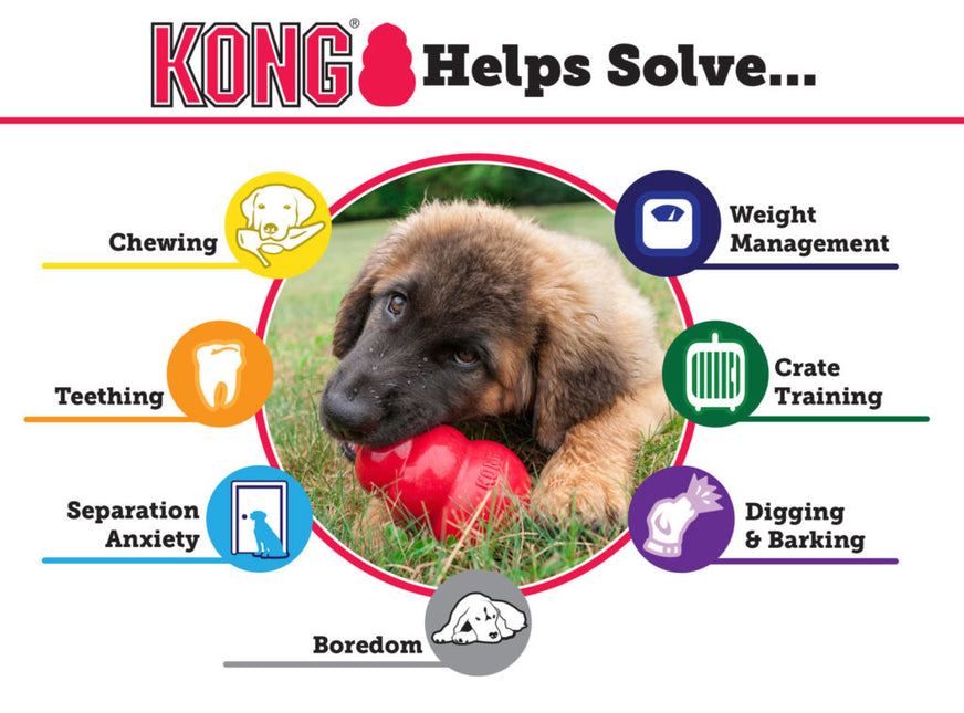 AnimalstoreXL Kong Puppy Large