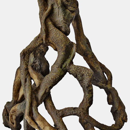 AnimalstoreXL Mangrove Wortel Large