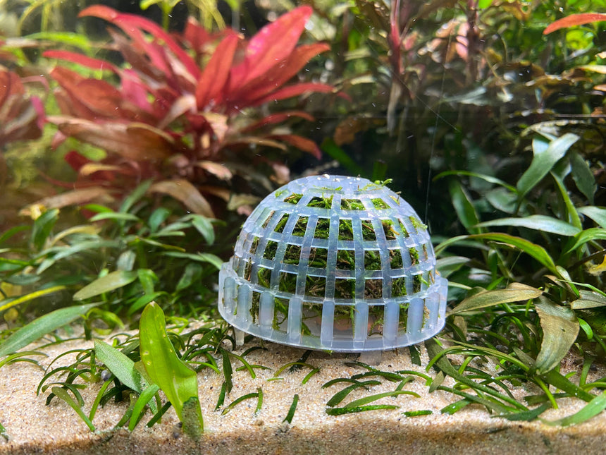 AnimalstoreXL Moskoepel