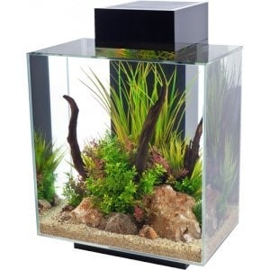 AnimalstoreXL Edge II 2.0 Zwart