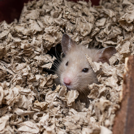 AnimalstoreXL Interzoo Hamsterverblijf Hamsterscape 78 glas/metaal