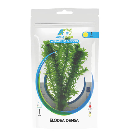 AnimalstoreXL Elodea Densa in zak