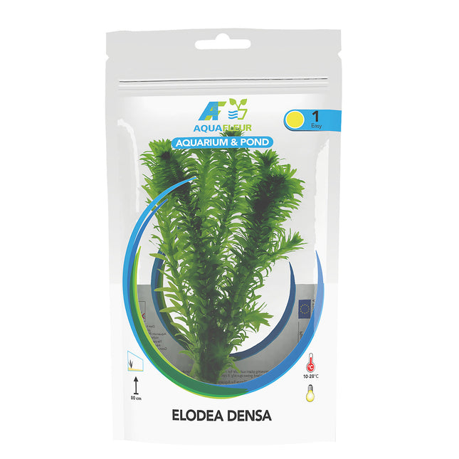 AnimalstoreXL Elodea Densa in zak