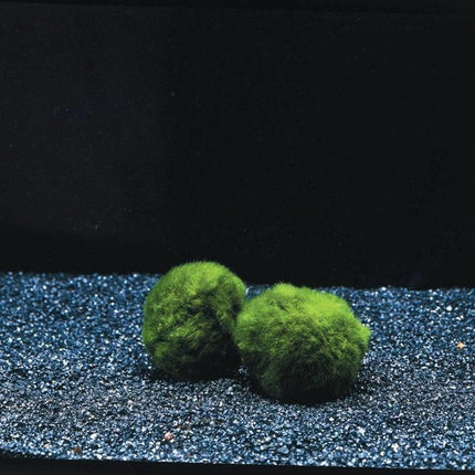 AnimalstoreXL Mosbol Chladoflora SS 2cm 6x