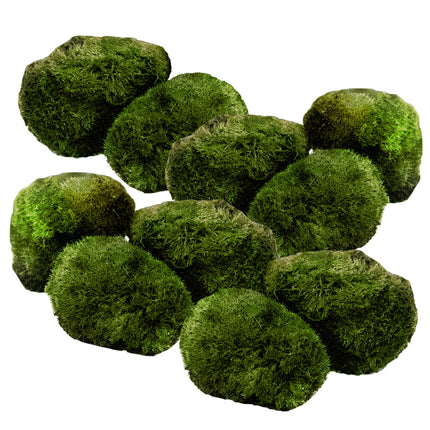 AnimalstoreXL Mosbol Chladoflora M 3-4cm 10x