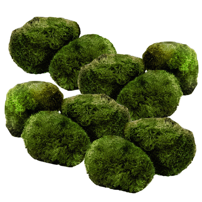 AnimalstoreXL Mosbol Chladoflora M 3-4cm 10x