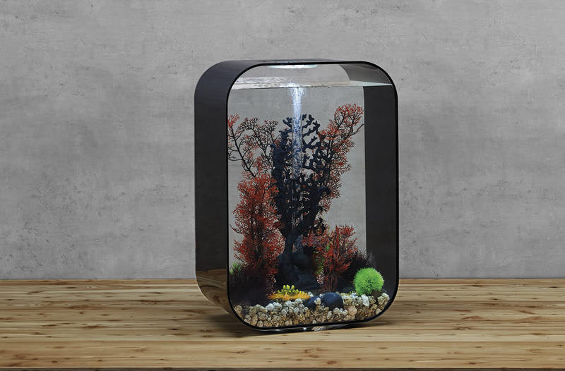 AnimalstoreXL Life 60 MCR Zwart