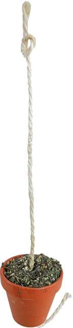 AnimalstoreXL Pot voor Grasparkiet en Papegaai 260g