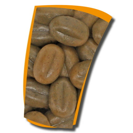 AnimalstoreXL Gel-o-Drops 24 Bugs & Proteins