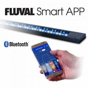 AnimalstoreXL Flex Aquarium Compleet 123L Wit