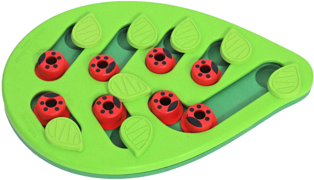 AnimalstoreXL Nina Ottosson Kattenspel Puzzle & Play Buggin Out