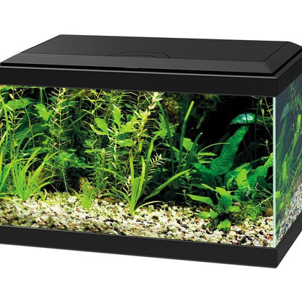 AnimalstoreXL Aqua 20 LED Zwart