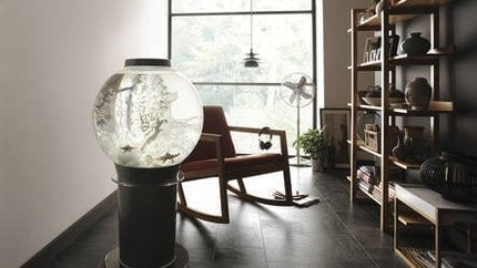 AnimalstoreXL Classic 60 MCR Zwart