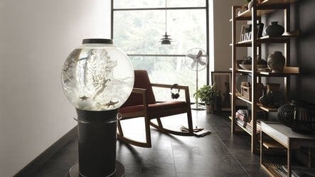 AnimalstoreXL Classic 60 MCR Zwart