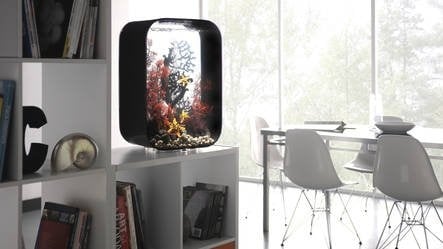 AnimalstoreXL Life 60 MCR Zwart