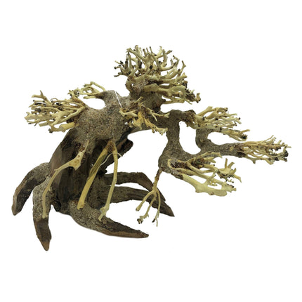 AnimalstoreXL Bonsai Driftwood S