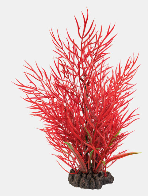 AnimalstoreXL Art Plant 25cm Ludwigia