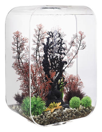 AnimalstoreXL Life 60 MCR Clear