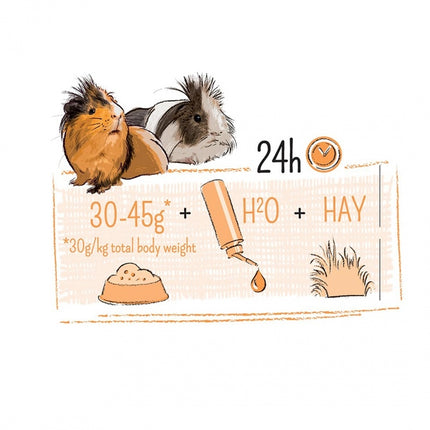 AnimalstoreXL Puur Cavia Sensitive 800g