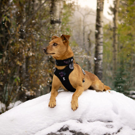 AnimalstoreXL Hurtta - Harness Weekend Warrior Zwart